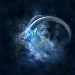 Zodiac sign Capricorn